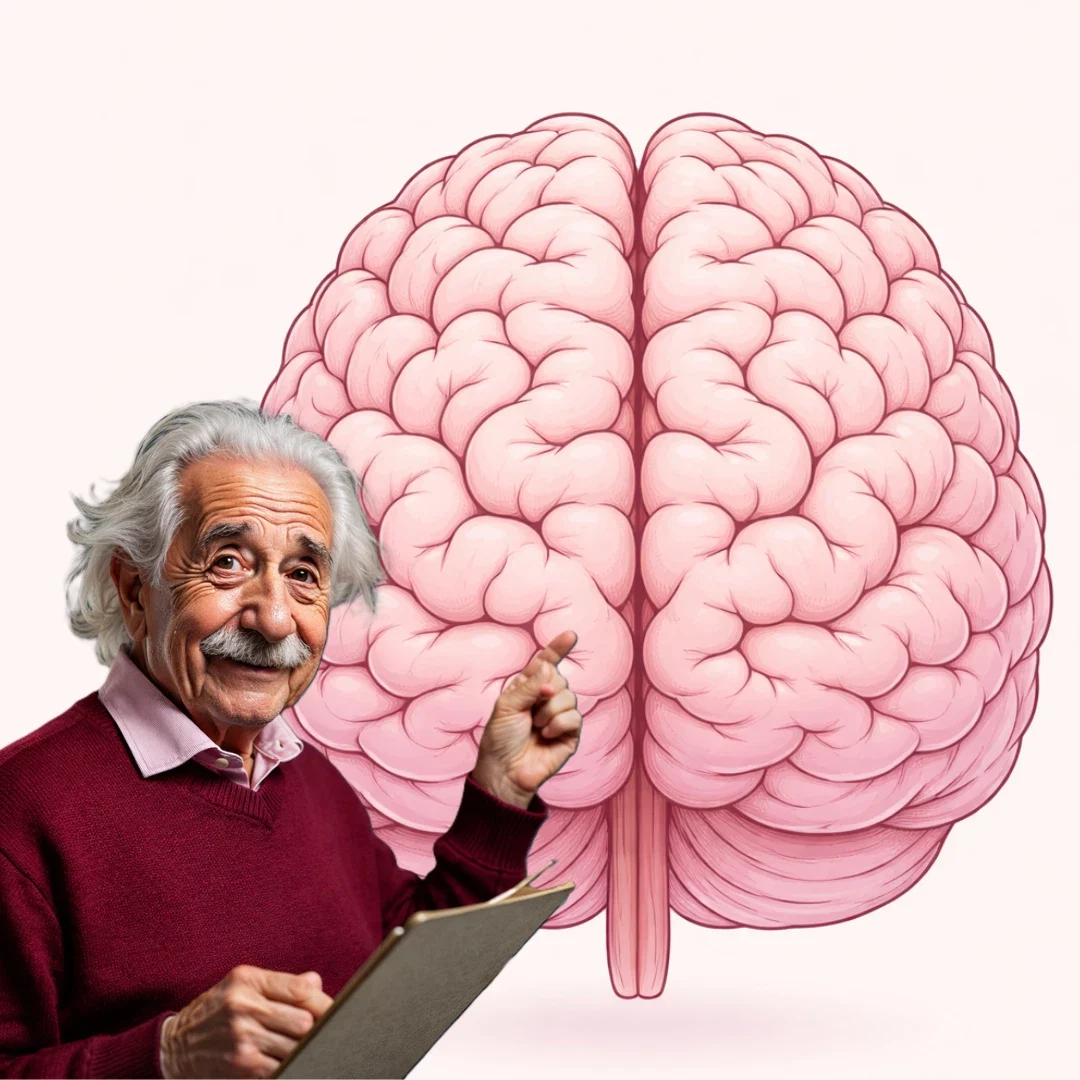 Dessin moderne d'Albert Einstein souriant devant un cerveau, en hommage : il s'est intéressé scientifiquement à la naissance de nos idées.