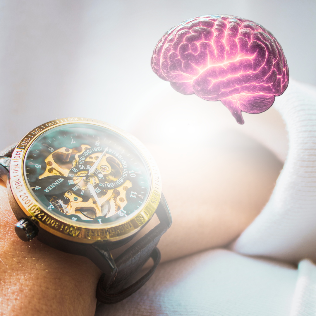 La science révèle aux dirigeants qu'ils peuvent bien décider rapidement. Méthode CLARTE5, de Magali Warcollier. Image de montre et cerveau. 