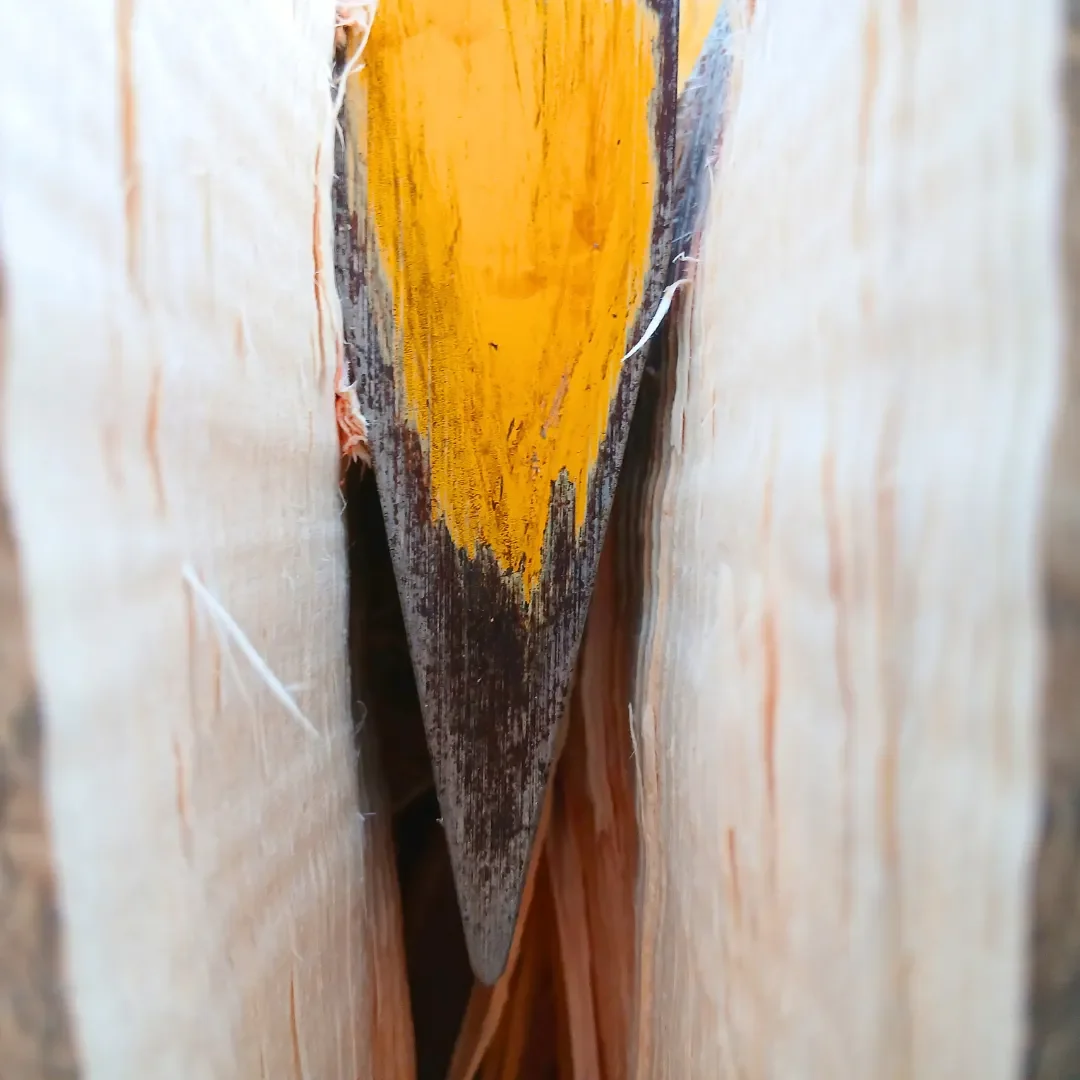 " Trancher l'indécision n'est pas chercher la perfection" _ Magali Warcollier. Métaphore d'une coupe de bois avec un coin dans un arbre